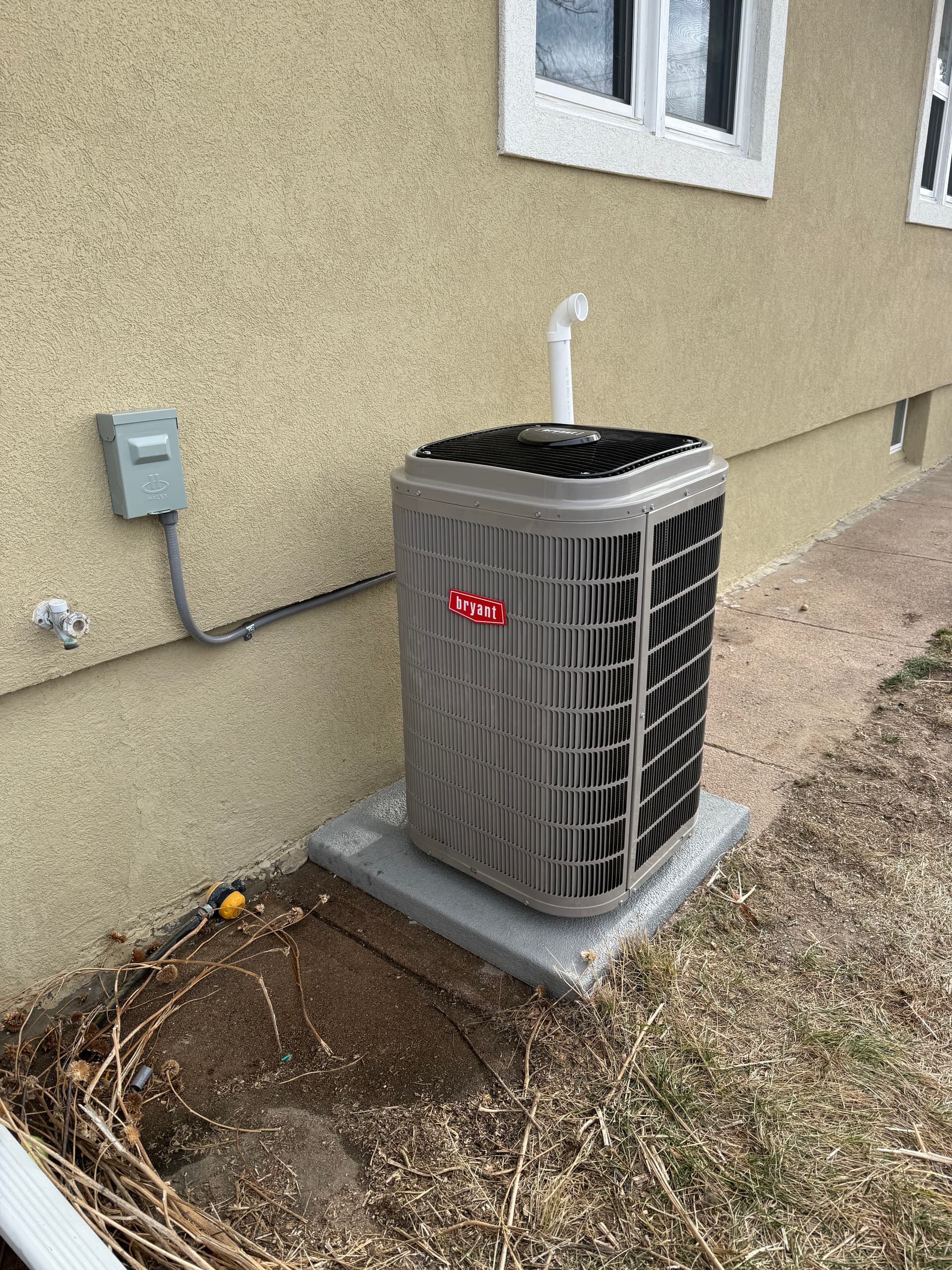 Efficient Heat Pump Installation in Longmont