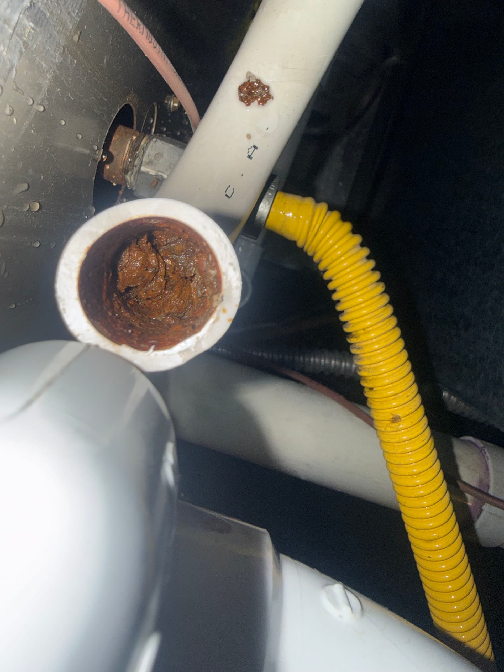 Gallery photos for AC Leaking Water in Longmont - Same Day Fix: Image #1